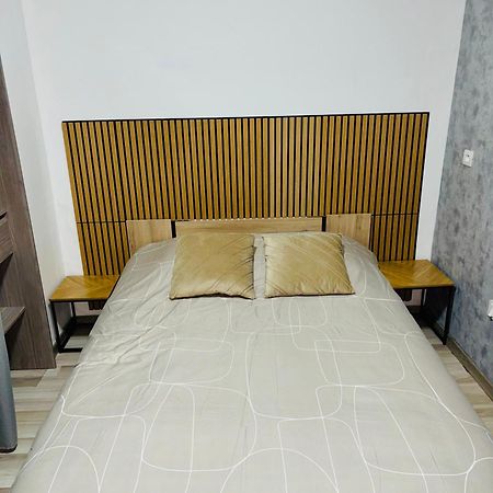 Appartement Moderne Centre Ville De Дижон Экстерьер фото