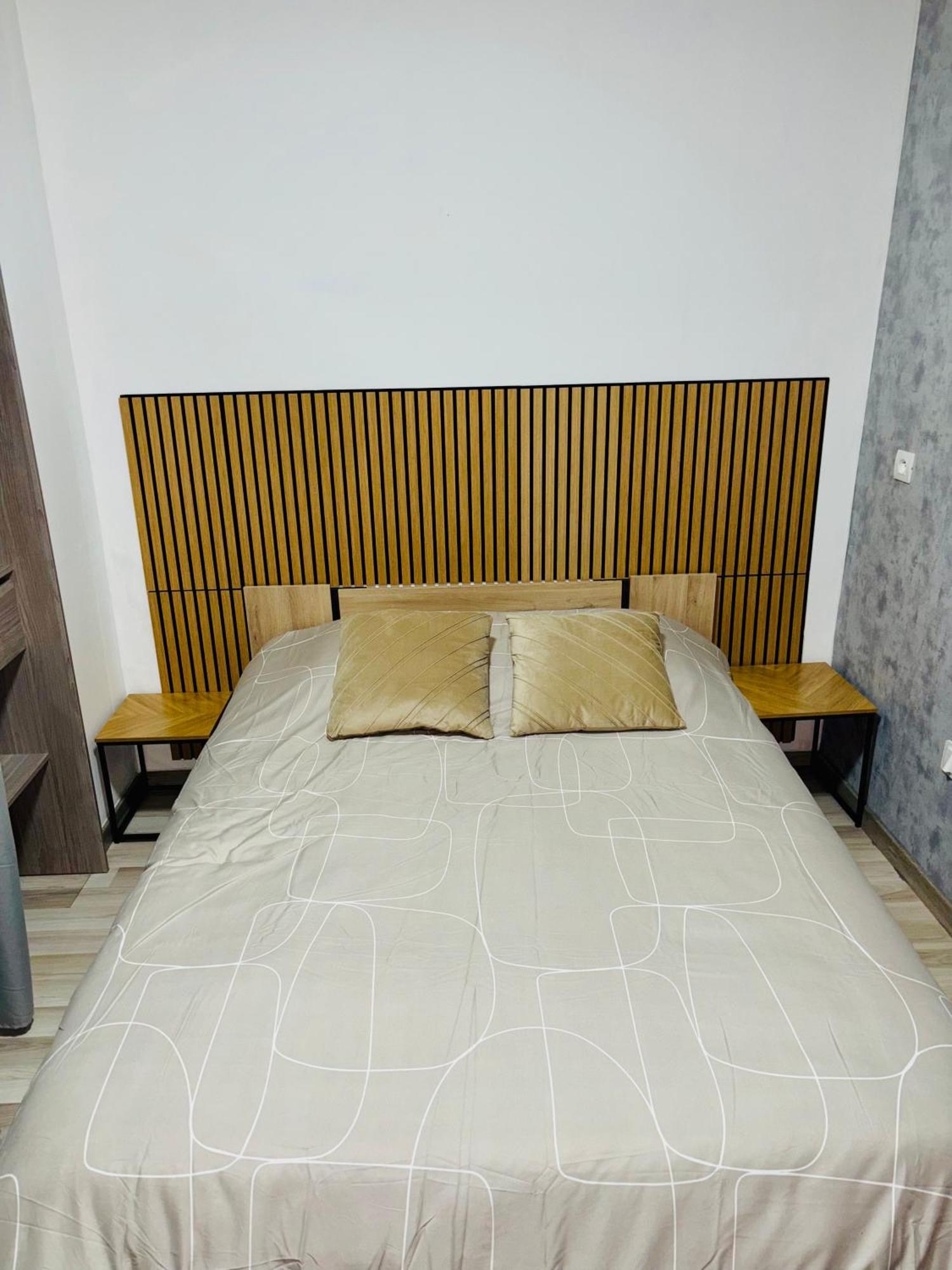 Appartement Moderne Centre Ville De Дижон Экстерьер фото