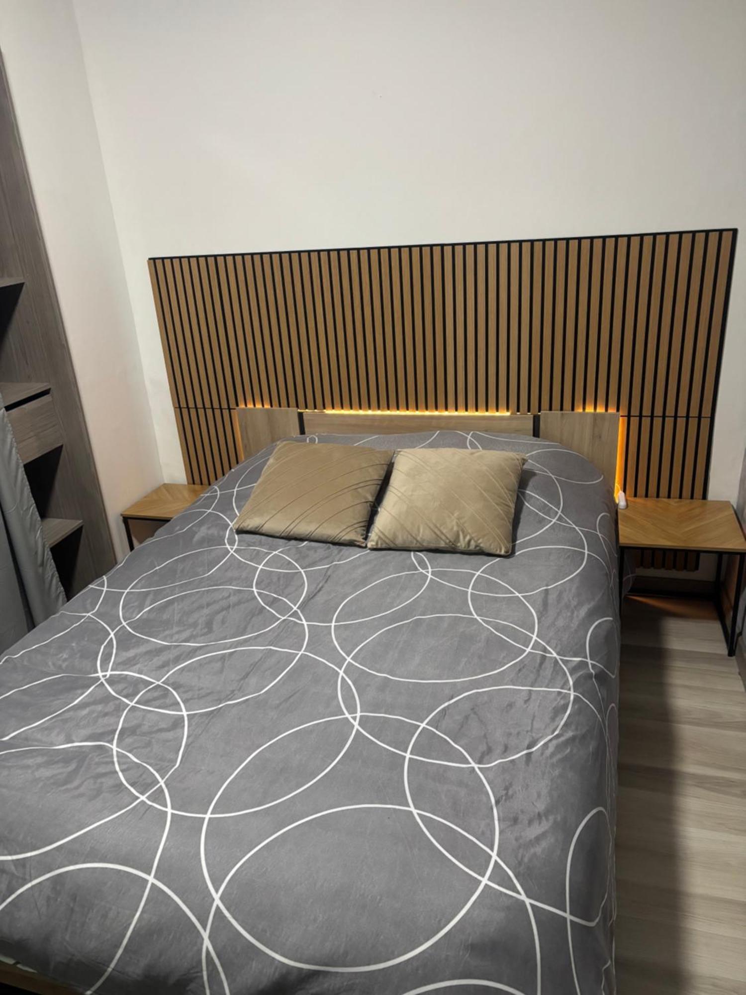 Appartement Moderne Centre Ville De Дижон Экстерьер фото
